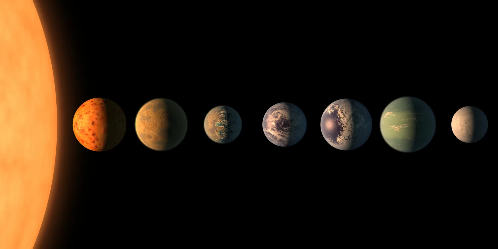 The seven TRAPPIST-1 planets compared with their host star